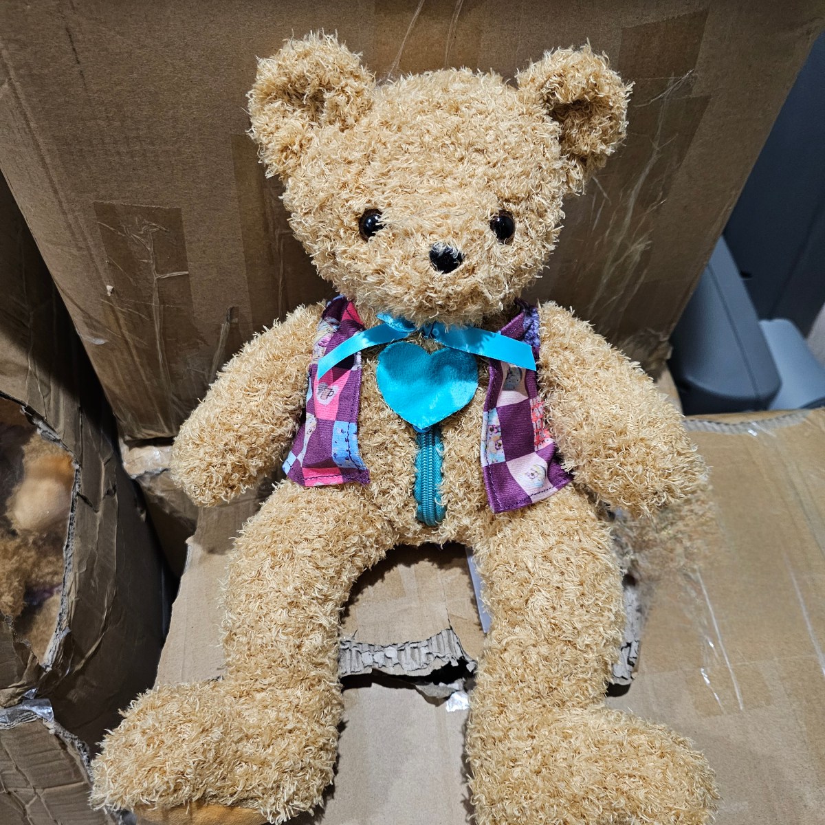 Patch’s First Adventure – Finding His Forever&nbsp;Home