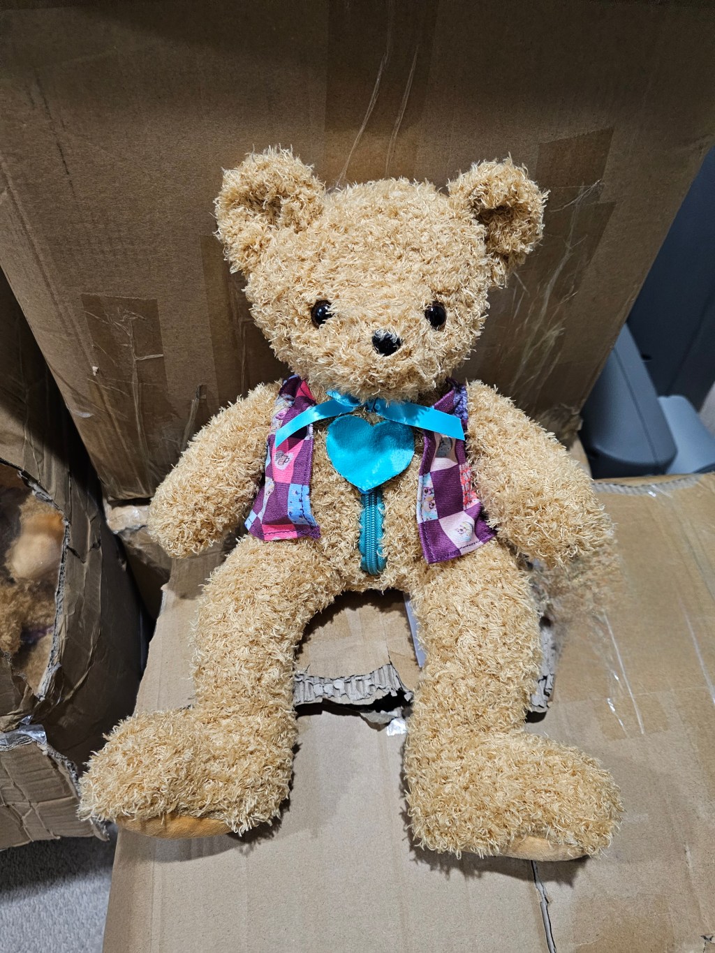 Patch’s First Adventure – Finding His Forever&nbsp;Home