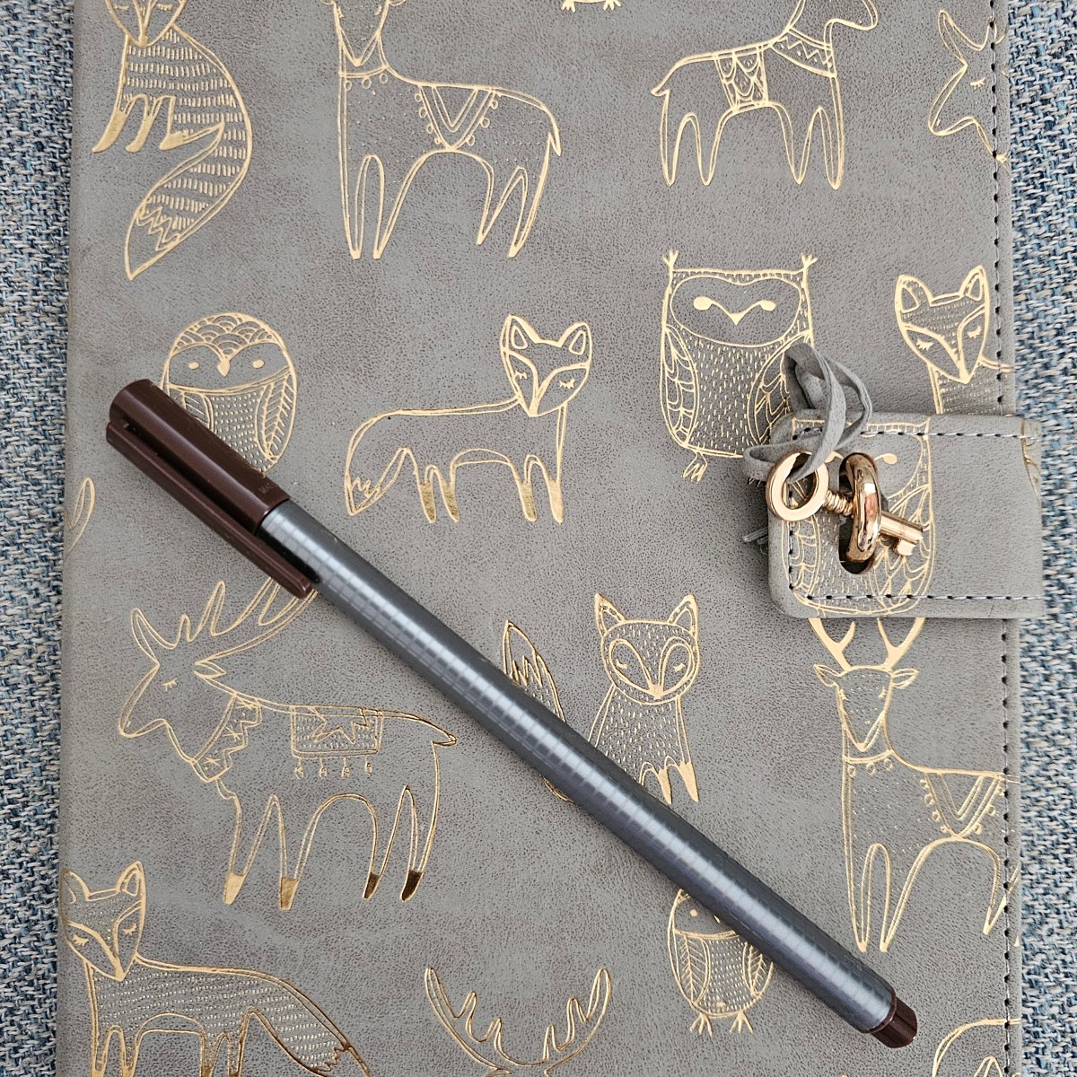 From Dreamer to Writer – The Journey&nbsp;Begins