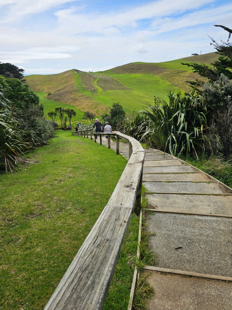 Walking path leading through green hills toward Manukau Heads lighthouse