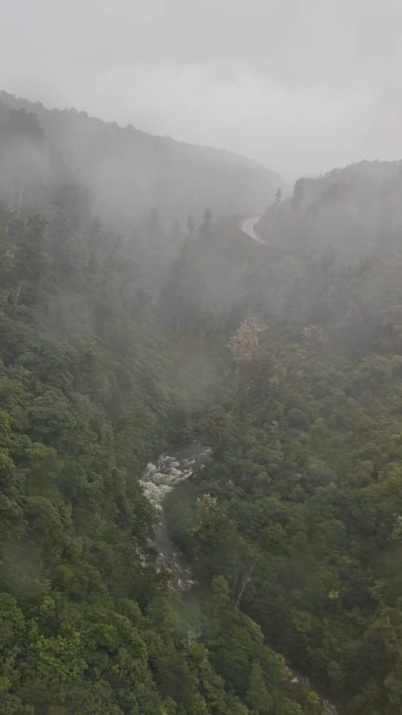 Looking down into the valley along the train journey to Wellington from Auckland.