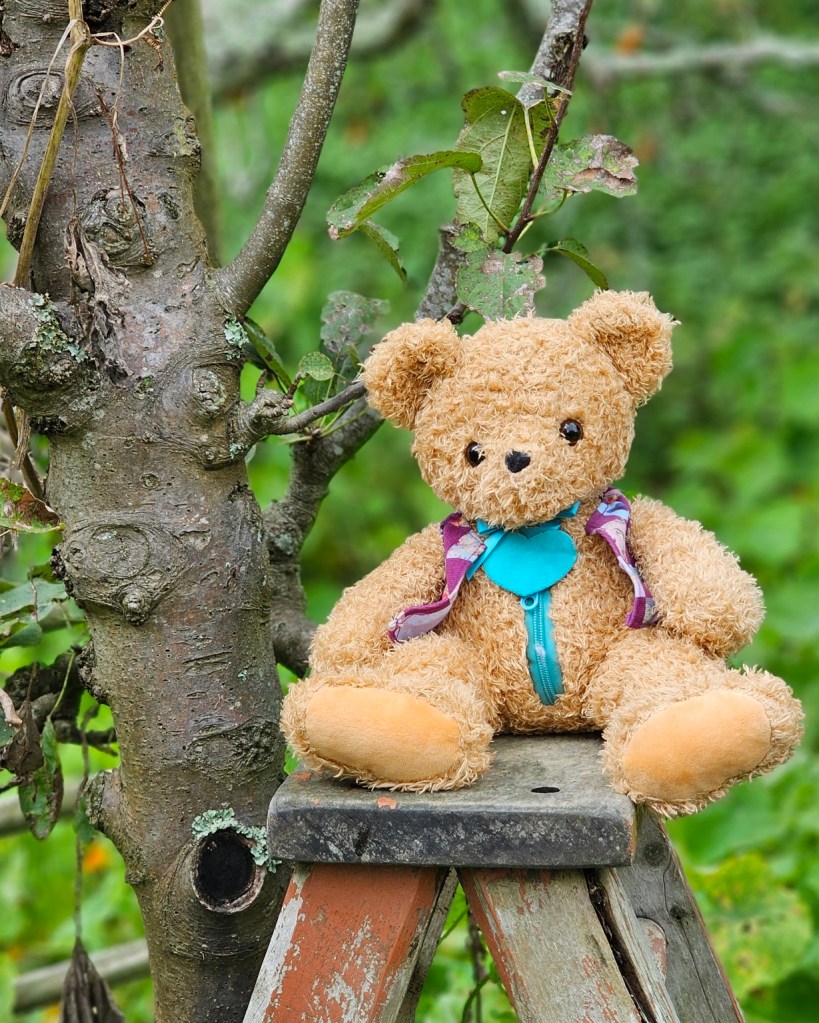 Patch is sitting on a hobbit ladder near a tree.